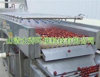 客户（hù）定制果蔬清洗流（liú）水线出厂前试用