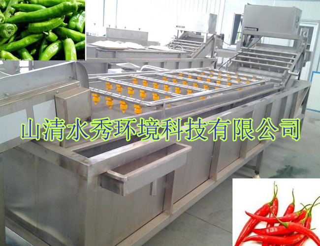大薑去果蔬（shū）清洗機